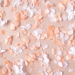 Hydrangea petal confetti